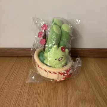 스미코구라시 잡초 오카자리 스미코 카도마츠 봉제 인형 레어