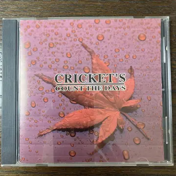 CRICKET'S COUNT THE DAYS 크리켓츠 멜로코어 CD