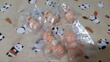 포켓몬 센터 푹신푹신 인형 빠모트 파모트