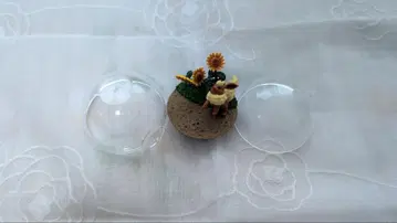 포켓몬 테라리움 컬렉션 묶음 판매