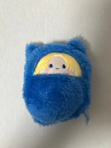 사카모토 데이즈 타피누이 아사쿠라 신