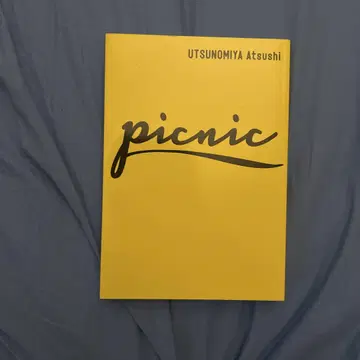 피크닉