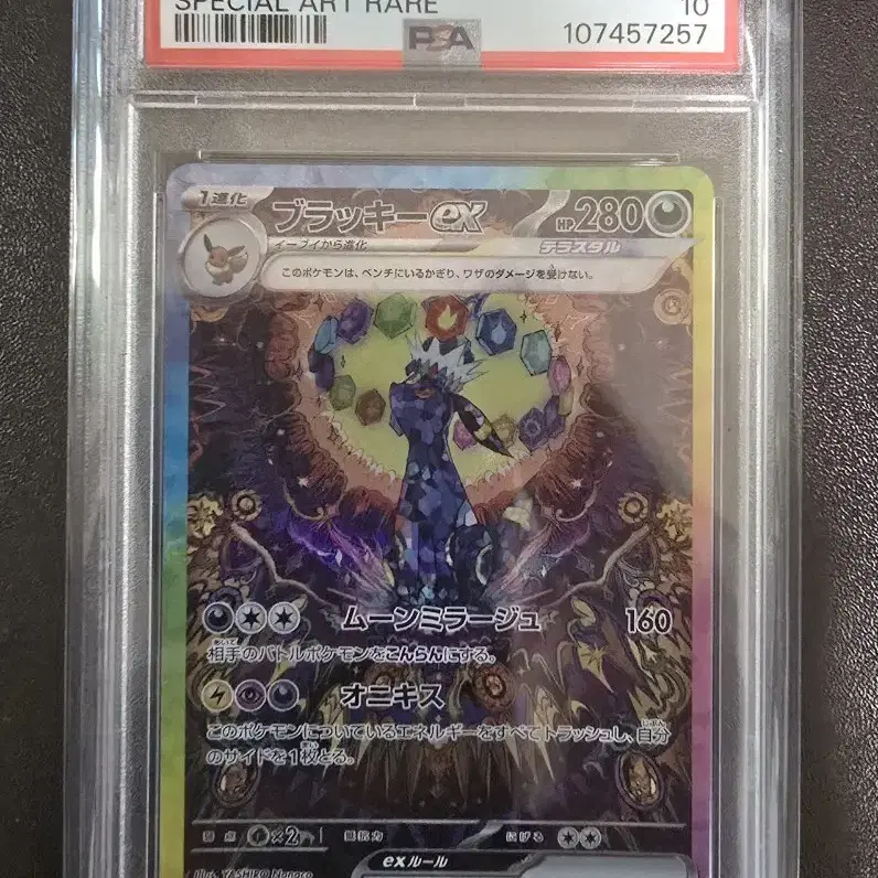 POKÉMON | 포켓몬스터 Pokemon Card Japanese Version Umbreon