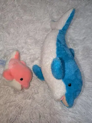 돌고래 봉제 인형 세트