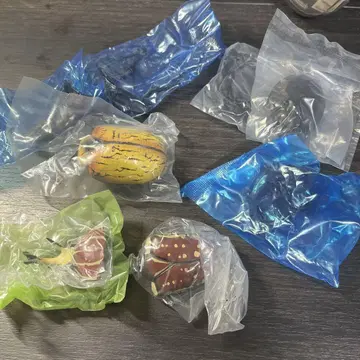 생물대도감 가부토무시09 헤라클레스옥시덴탈리스 빵가부토08 캐나분