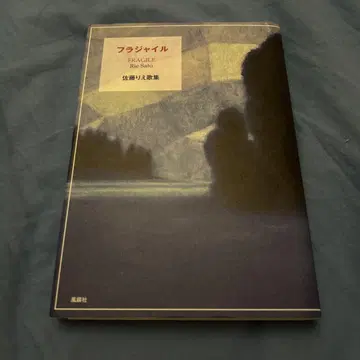 플래질 사토 리에 가집