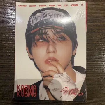straykids 스키즈 KARMA 어쿠스틱 한 ver