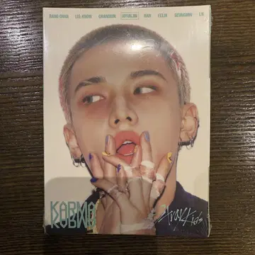 straykids 스키즈 KARMA 아코디언 현진 ver