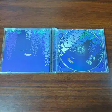 보라색반 2017 CD