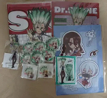 Dr.STONE 복권 이시가미 센쿠 사자왕 츠카사 효우가