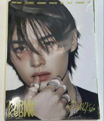 Straykids KARMA Accordion Ver. 리노
