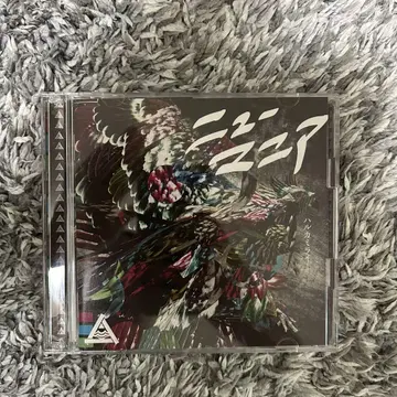 하루카미라이 뉴 매니아 DVD 초회 한정판