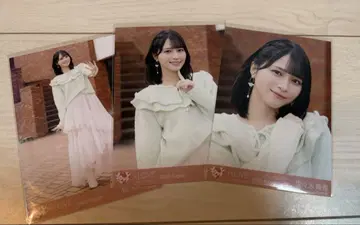 이코러브 브로마이드 사사키 마이카 초특급 도주중 컴프