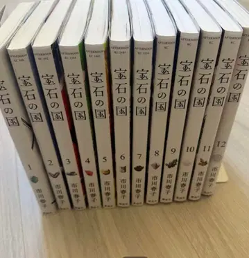 보석의 나라 전권 13권