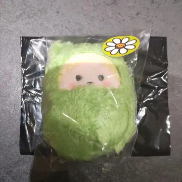 기븐 싸개 타피누이 [카지 아키히코]