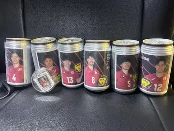 남자 배구
