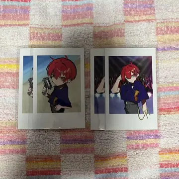 CR CPT CR 페스티벌 폴라로이드
