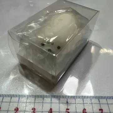 물범 스퀴즈