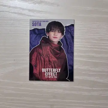 나카지마 소우타 BUTTERFLY EFFECT 포토 카드 시크레