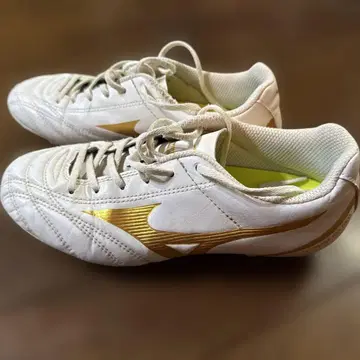 Mizuno MONARCIDA neo 스파이크 22.5cm