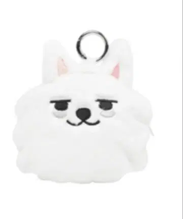 [공식] TXT 뿔바투 용몽 코인 파우치