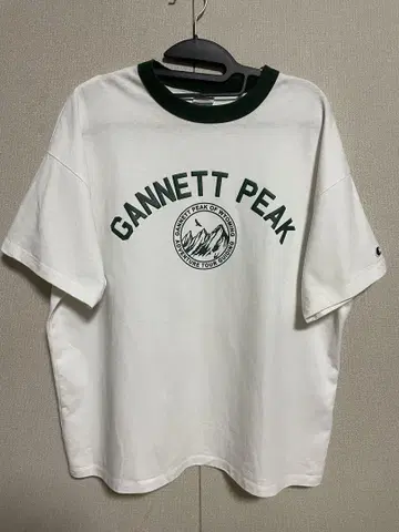 Champion SHORT SLEEVE CAMP T-SHIRTS