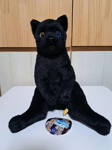 앉은zoo 냥코4 블랙 고양이 오드아이 택 포함