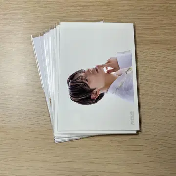 초특급 알로하 브로마이드 11장 묶음 판매