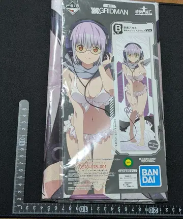 SSSS.GRIDMAN 신죠 아카네 등신대 비주얼 크로스 그리드맨