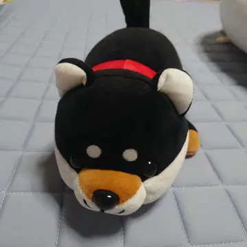 해피 마메시바 봉제 인형 블랙 시바견 마메시바