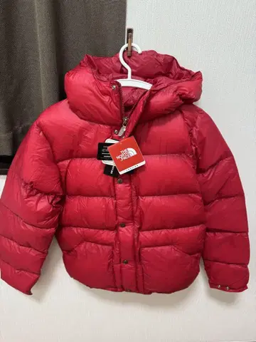THE NORTH FACE SIERRA SHORT HOODIE