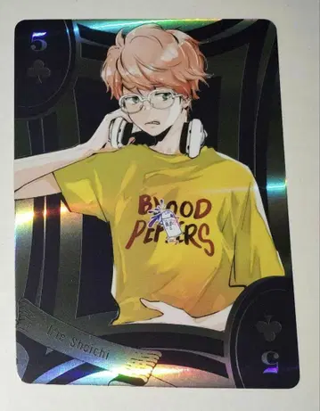 리본 이리에 쇼이치 오로라 카드놀이 아마노 아키라 전시회