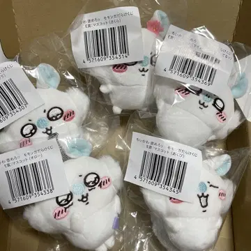 모몽가 투성이 복권