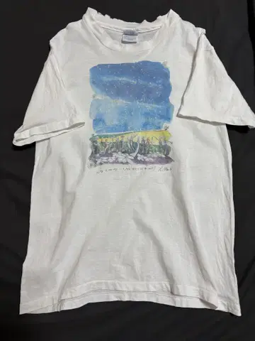 Hanes 아트 프린트 티셔츠 90s