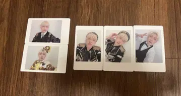 팬더드래곤 요우타 하피카