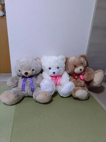 곰 봉제 인형 곰 테디베어