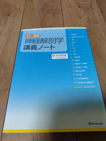 신경해부학 강의 노트 컬러 도해