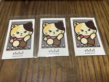 rinrin 고양이 캐릭터 스티커 3매 세트