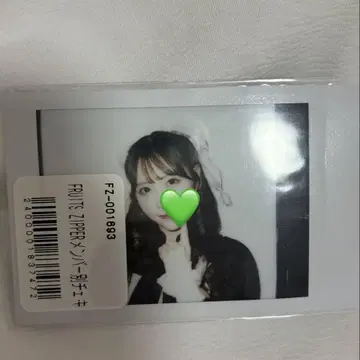 사쿠라이 유이 폴라로이드
