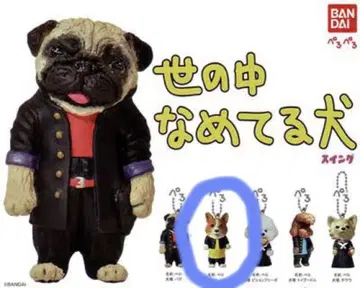 가챠 세상 얕보는 강아지 코기