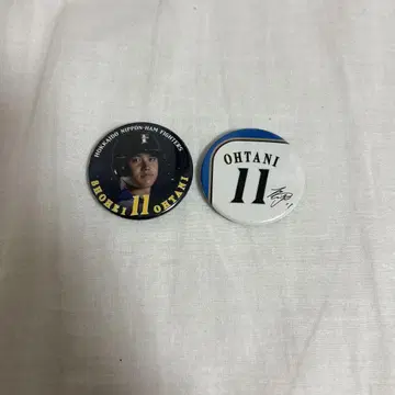 오타니 쇼헤이 배지 2개 세트 11