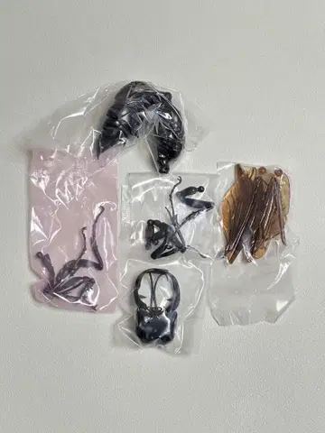 생물대도감 어드밴스 말벌02 메갈라라 가루다