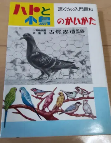 우리의 입문 백과 비둘기와 작은 새의 사육법