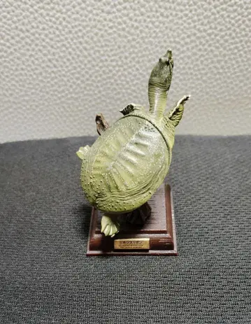 네이처 테크니컬러 일본의 거북이 일본 자라