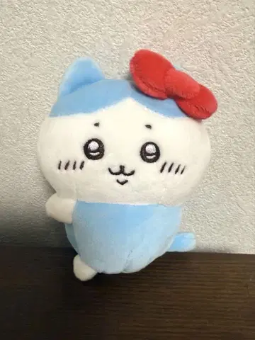 치이카와 산리오 캐릭터즈 들고있어 마스코트 하치와레