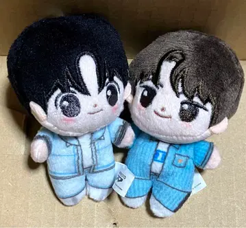 TWS PLEDIS ENTERTAINMENT 호와누이 신유 한진