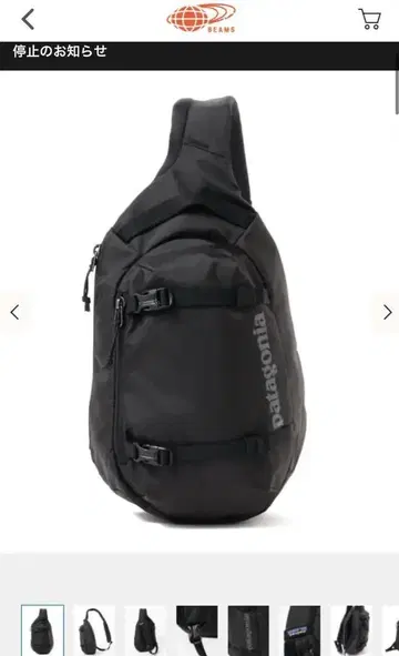 patagonia / Atom Sling 8L