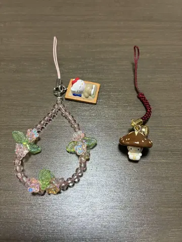 고토치 키티 오이타 가고시마