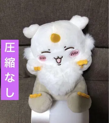 치이카와 아노코 BIG 봉제 인형