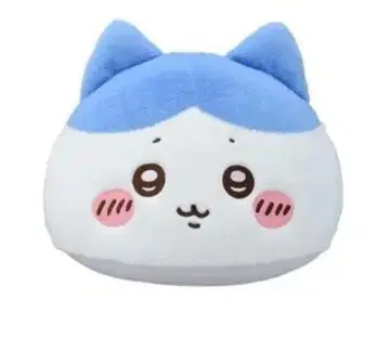 치이카와 프리미엄 돔 쿠션